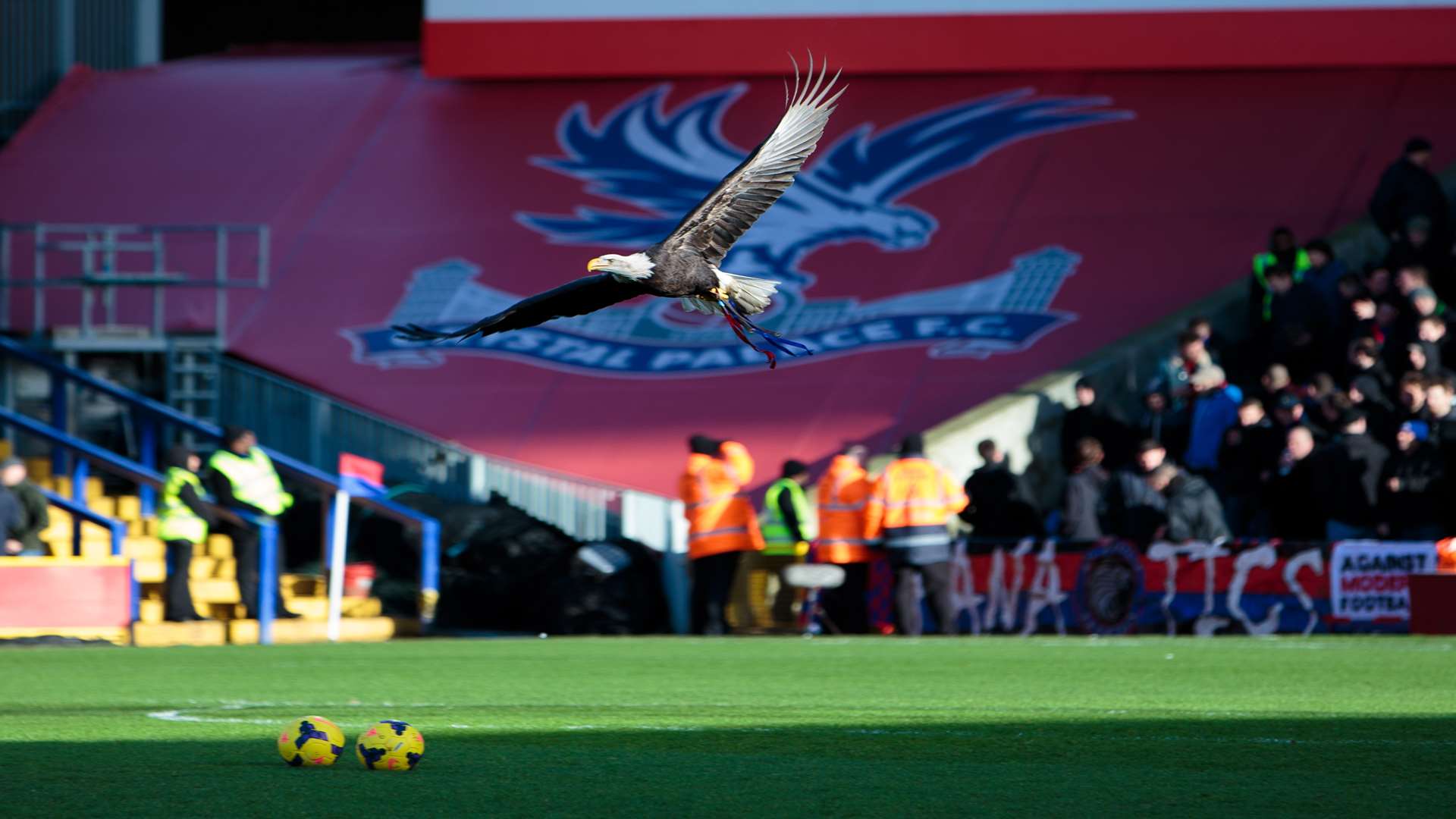 Kayla has made a big impression since swooping at Selhurst Park