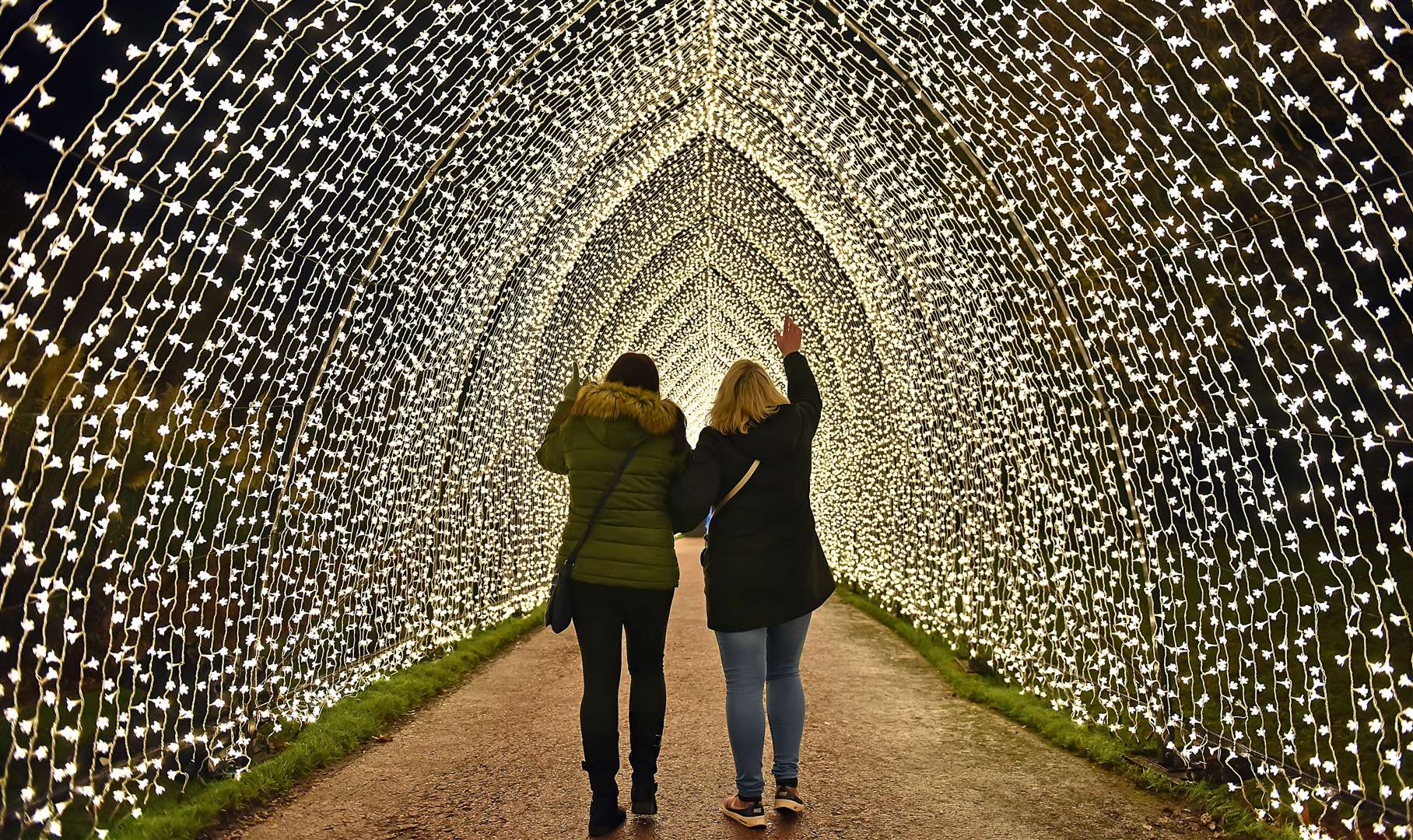 The Christmas at Bedgebury light trail will return this festive season