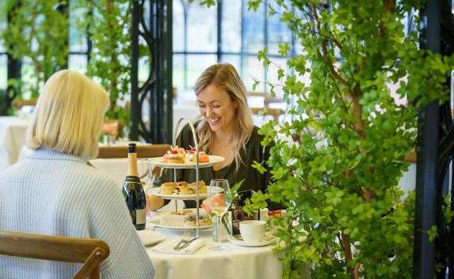 The Mother’s Day afternoon tea at Port Lympne includes entry to the park. Picture: Aspinall Foundation
