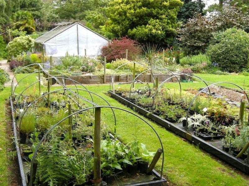 Copton Ash is a private garden, but will be open to the public this March. Picture: National Garden Scheme