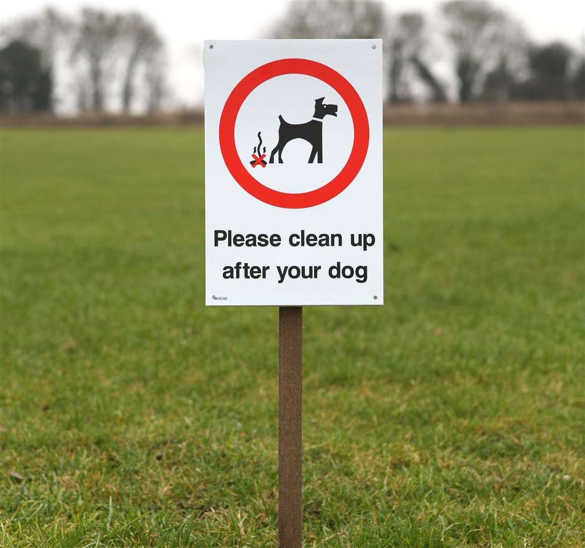 The wardens will also crack down on dog fouling. Pic: Richard Marsham