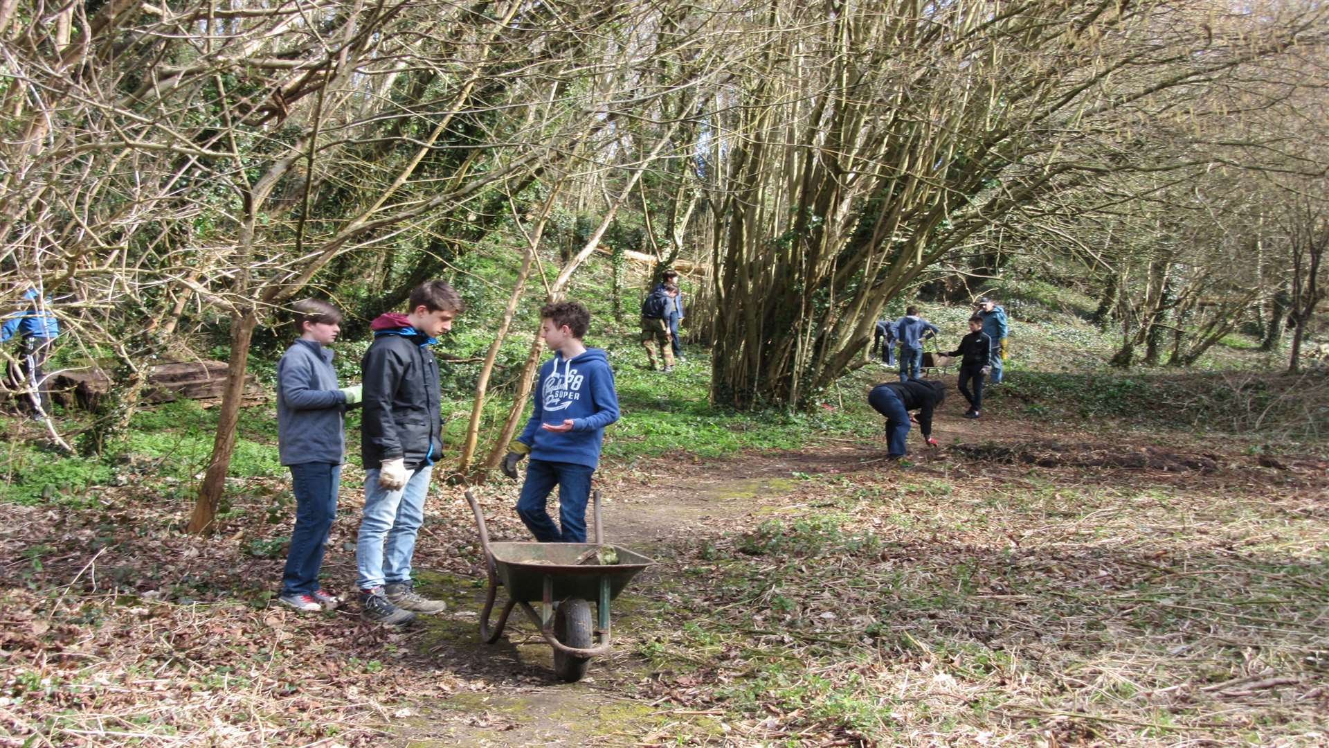 Oakwood Park volunteers help the Valley Conservation Society at Hayle Park