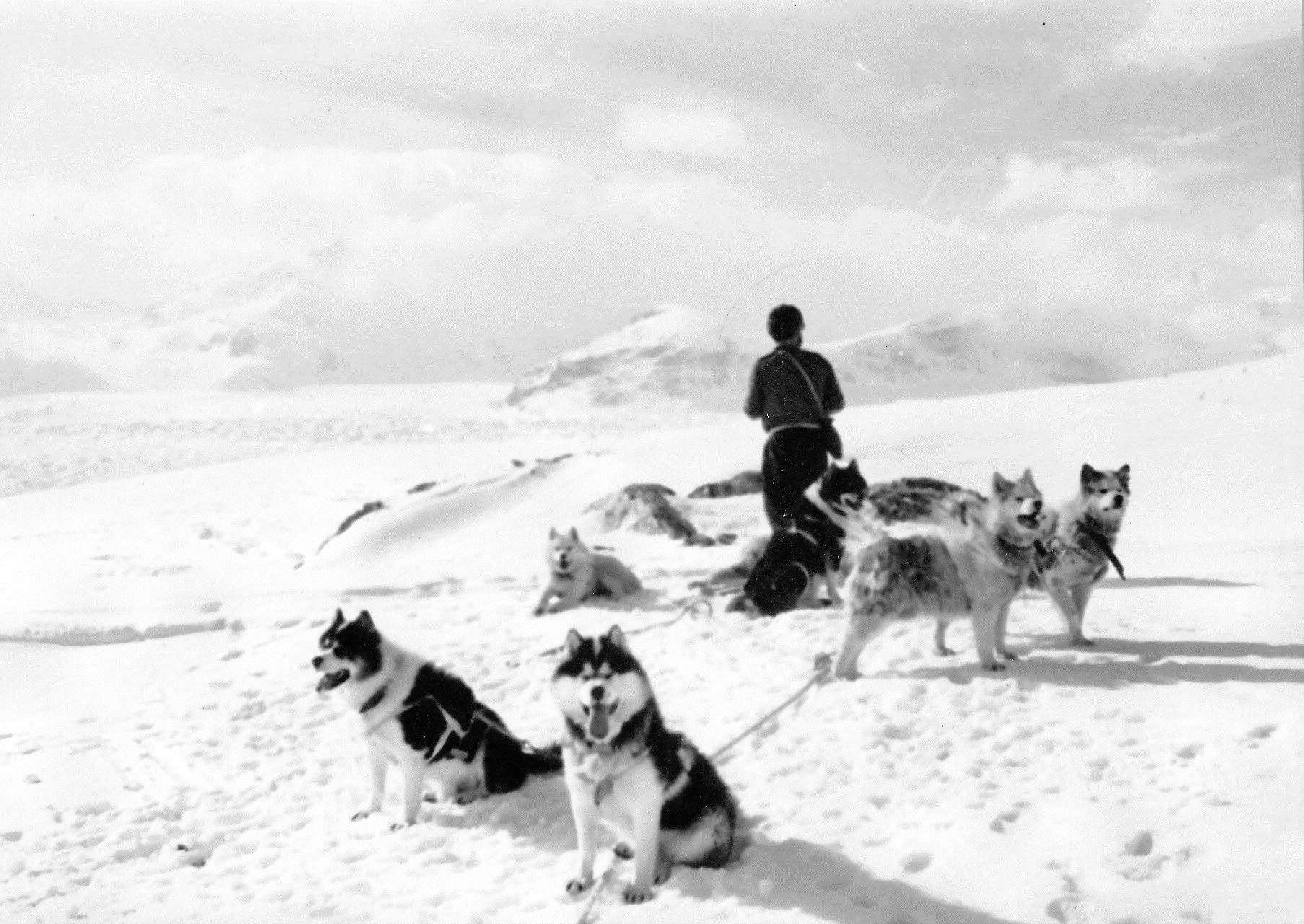 John Smith with huskies on a training run above Orford Cliff (10212638)