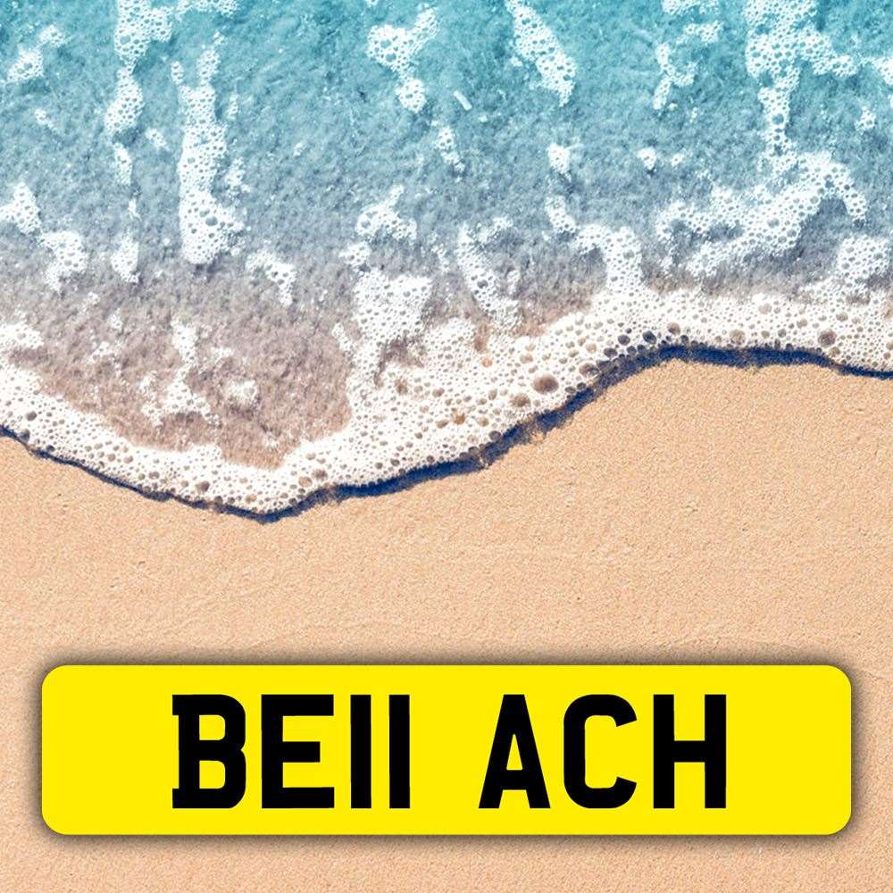 The DVLA is putting 2,500 personalised plates up for sale in an online auction on December 1 including this one spelling out the word 'beach'