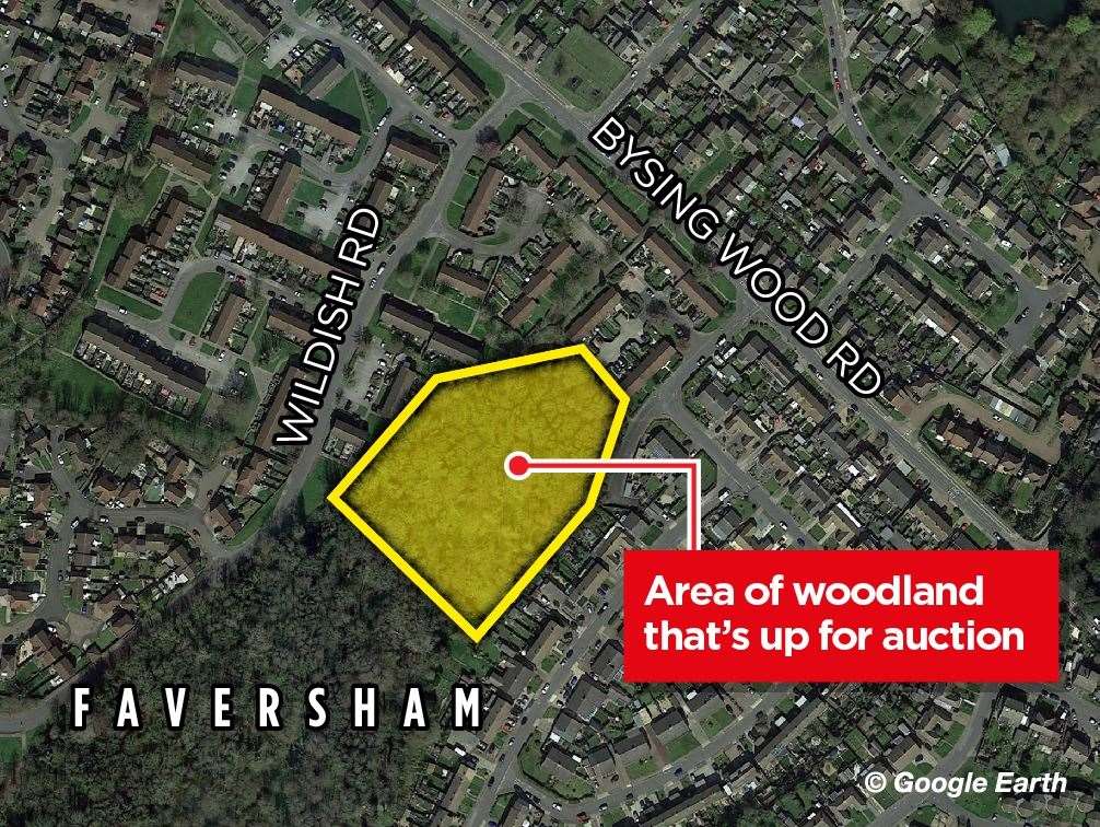 The plot of woodland in Faversham which is being auctioned off with "potential for development"