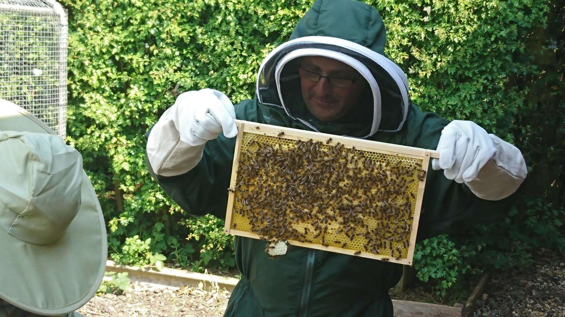 GreenGate bees (3048828)