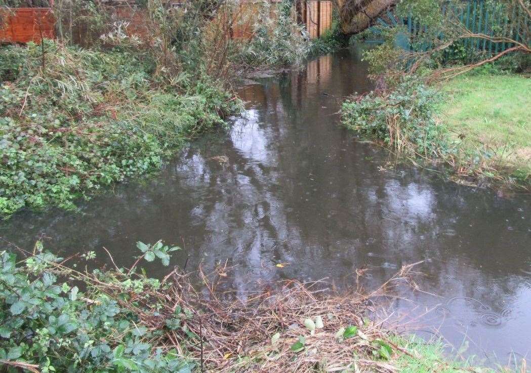 Tony Hills, the chairman of the Kent flood risk management committee, says the sewage arm could overflow and enter people’s homes. Picture: Tony Hills