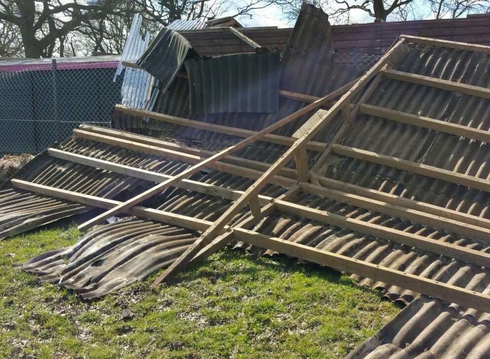 Storm damage at the South East Dog Rescue Centre in High Halden