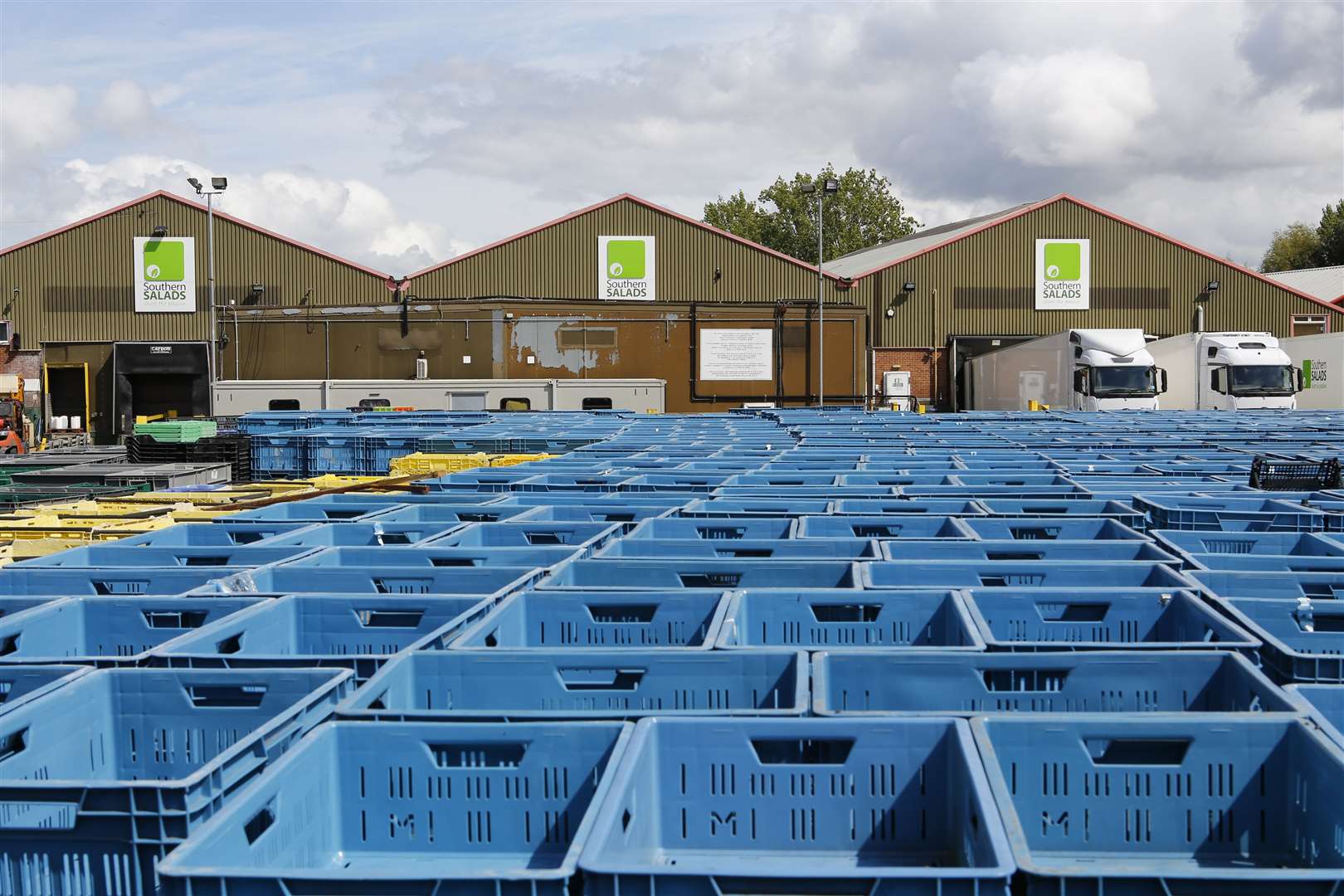 Crates lie empty across Southern Salads' premises