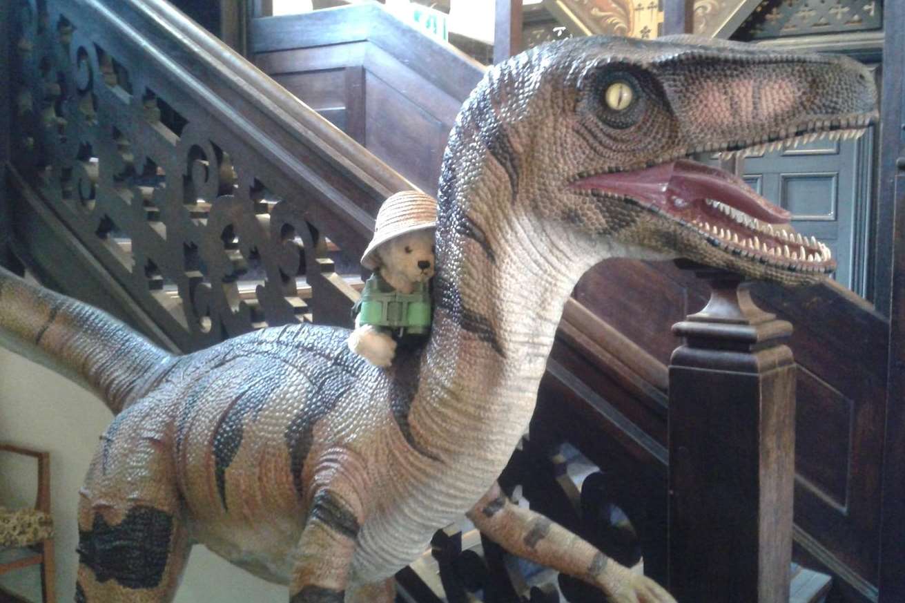Brenchley bear rides a dinosaur at Maidstone Museum