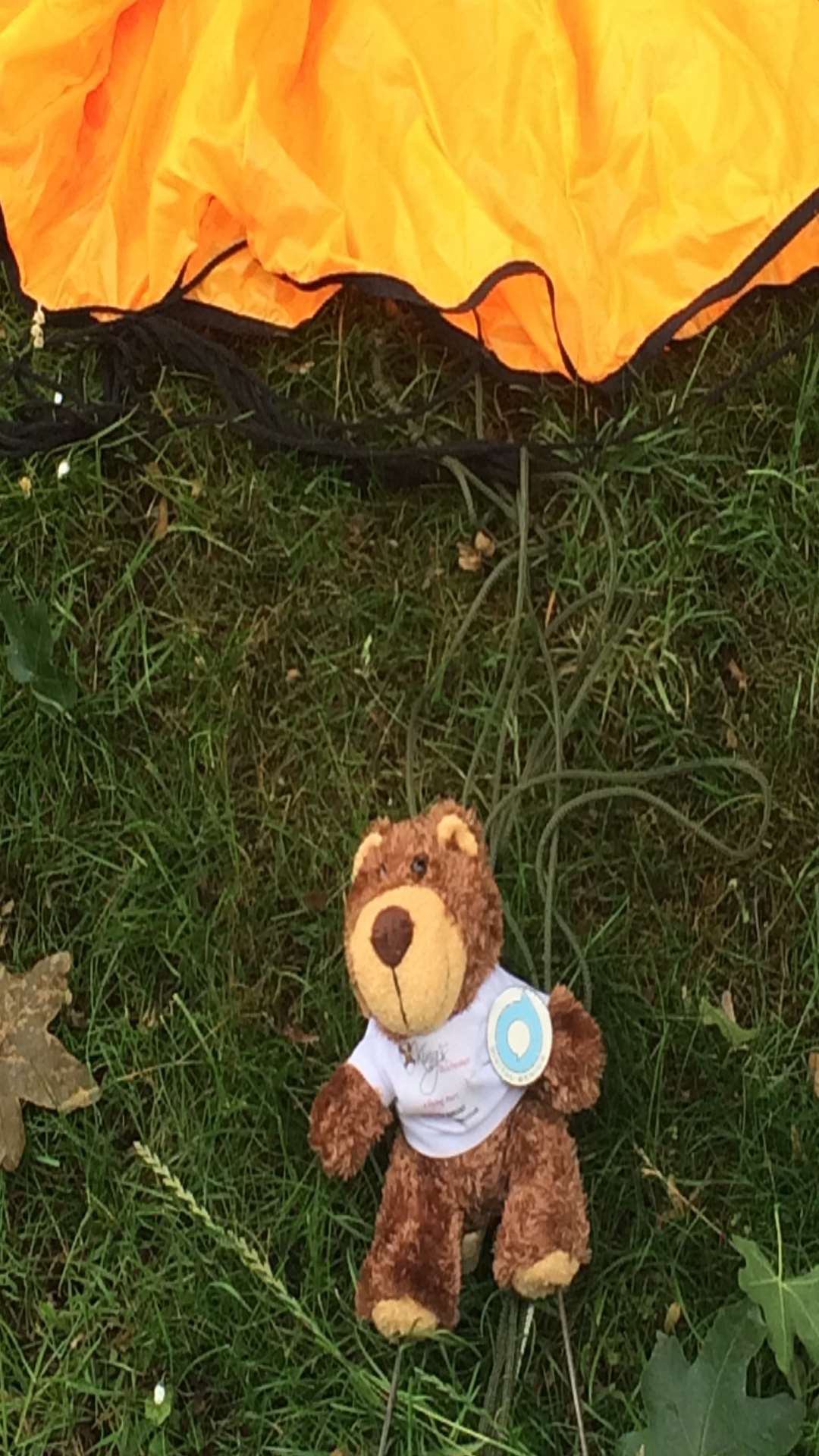 Roffa the bear and his parachute