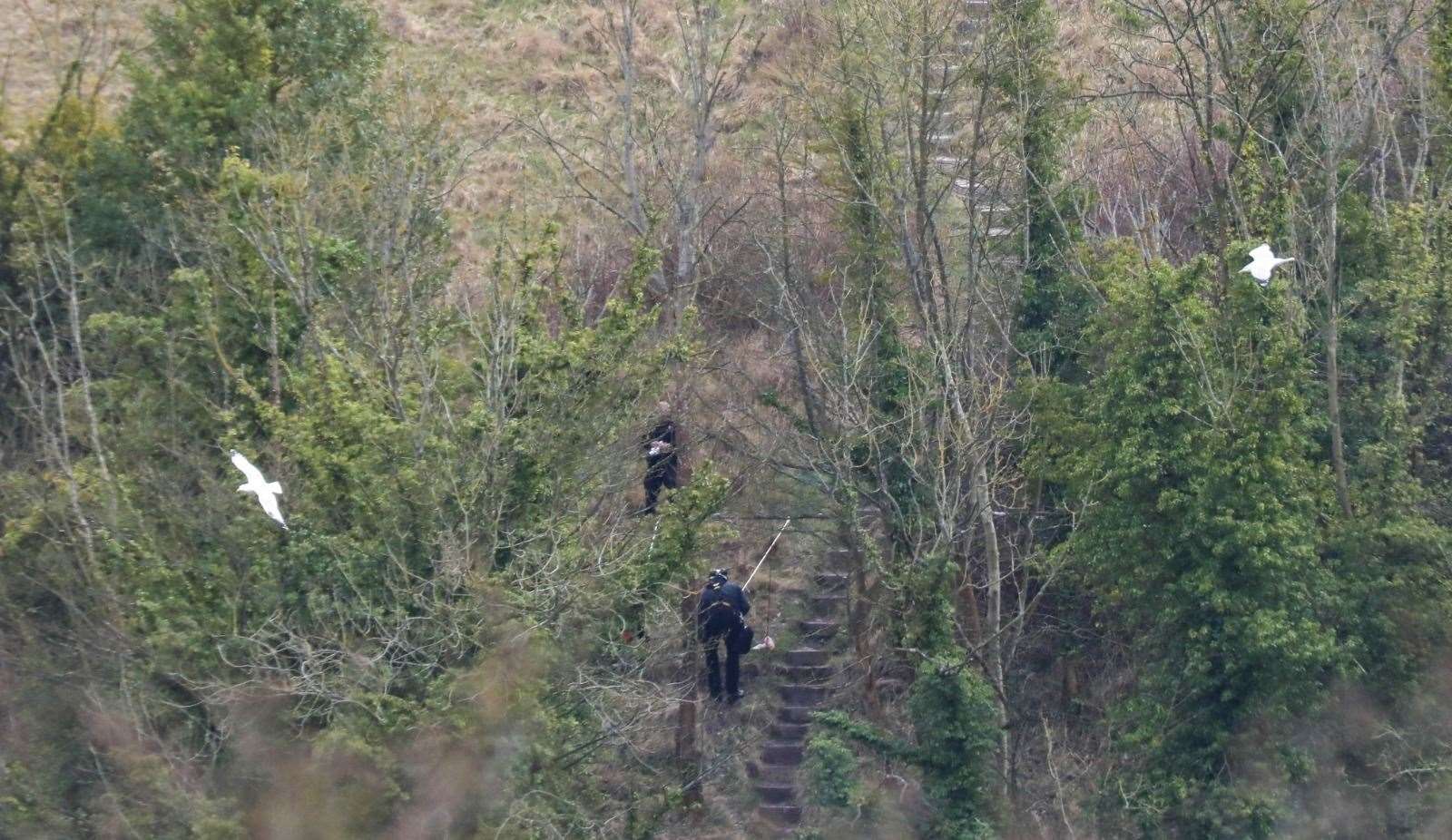 Specialist officers abseiling down cliffs in Dover Picture: UKNIP
