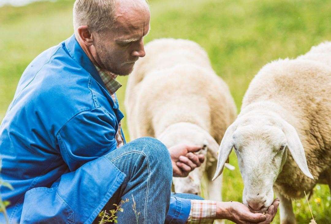 Feed farmyard animals with Dad this Father's Day. Picture: Facebook/Frampton Farm
