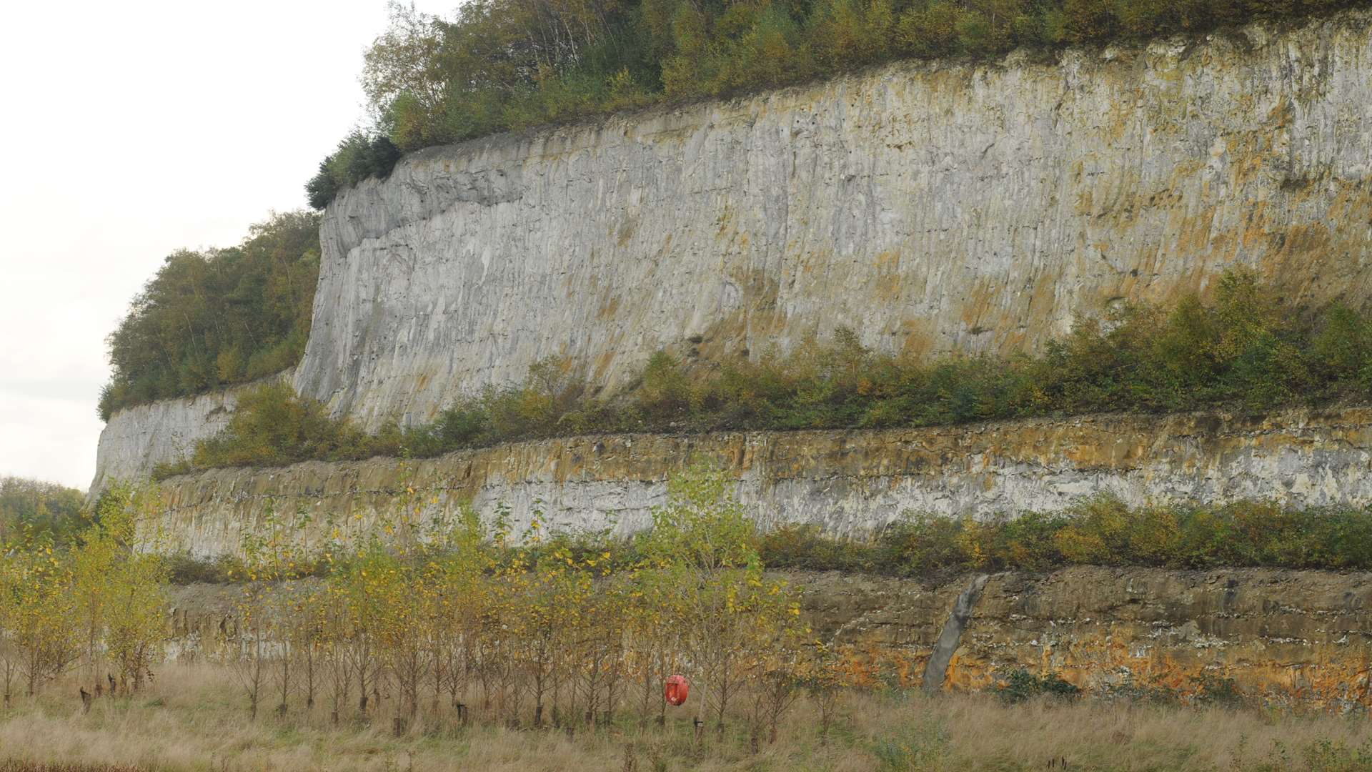 Cliff face in Greenhithe quarry, stock image.