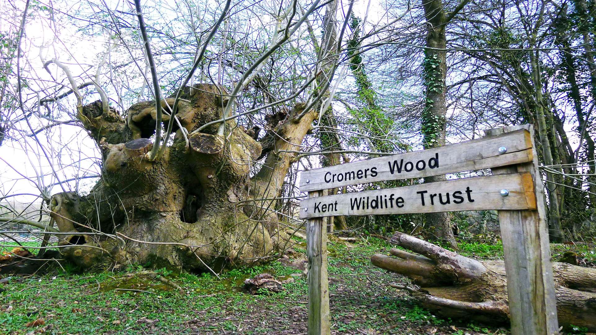 Cromer's Wood in Sittingbourne is in for a £25,000 funding boost