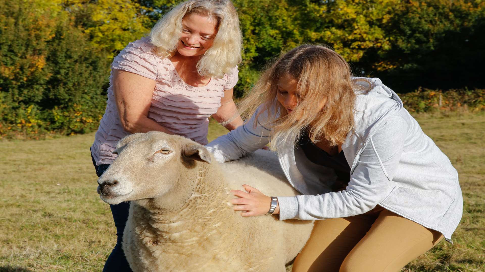 Star the sheep loves to be massaged, as demonstrated by lead therapist Carol Bridges and volunteer Imke Dreyer. Picture: Matthew Walker