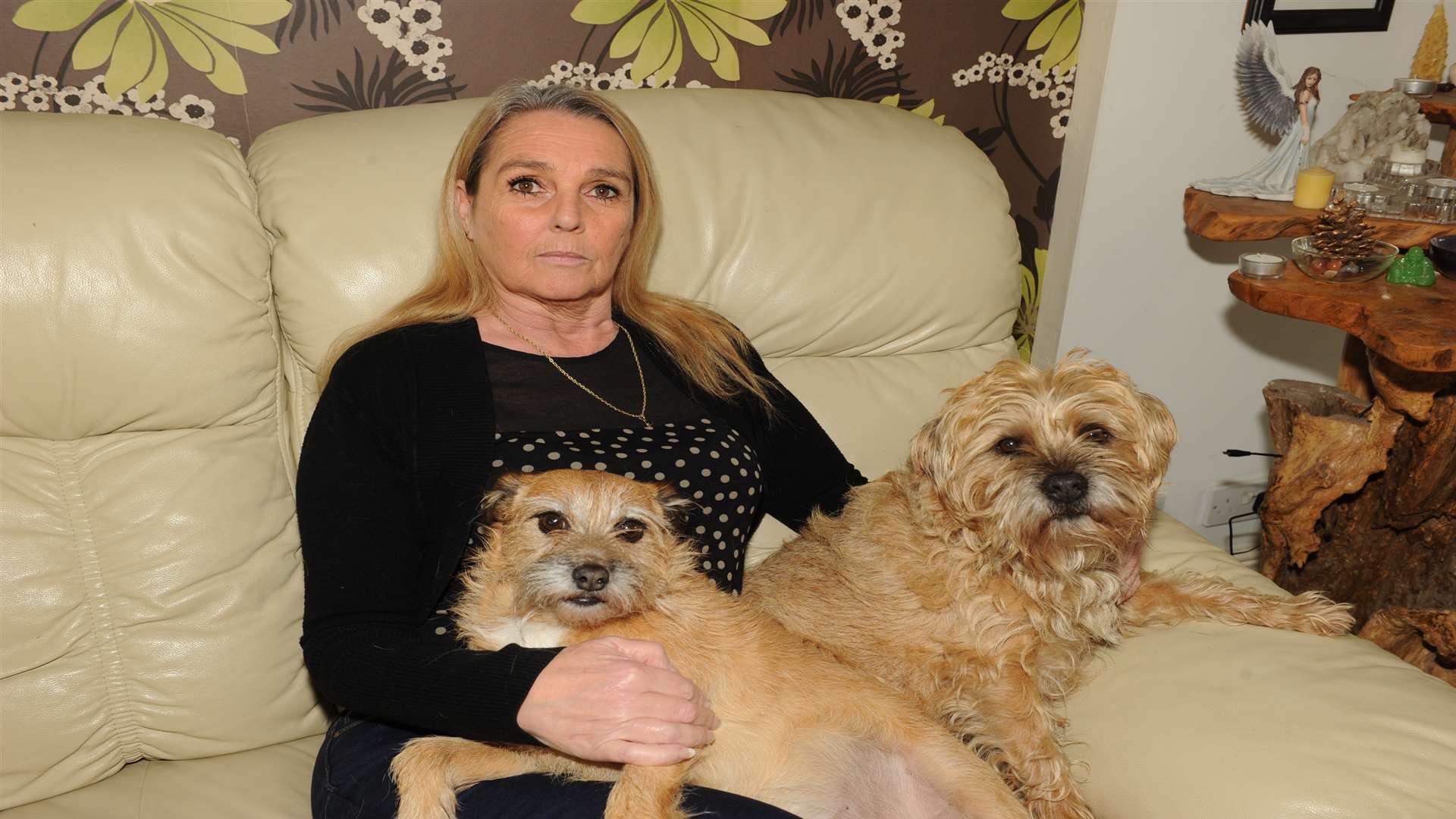 Carole at home with her dogs Oscar and Bonnie