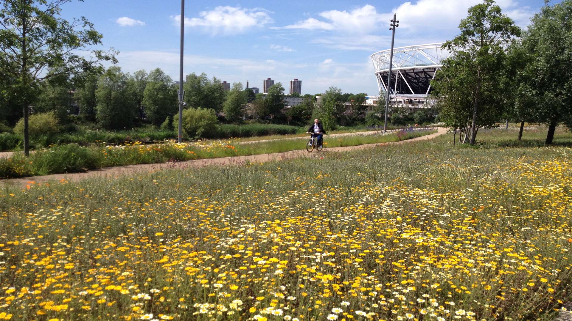 Cycle through the ribbon of gold passing the new stadium