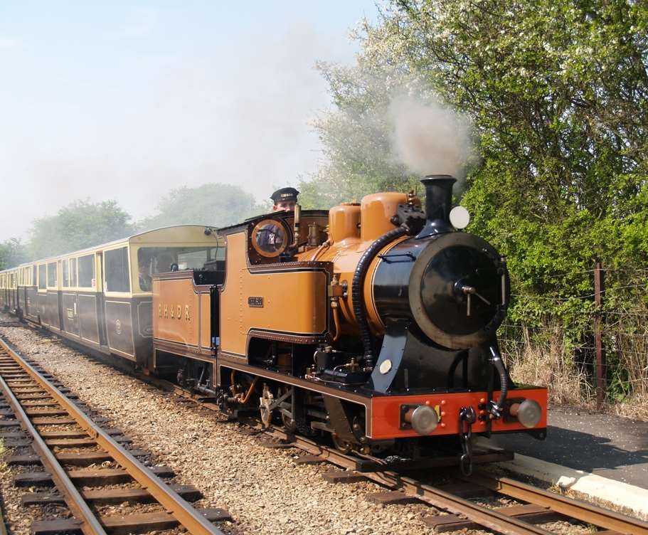 Romney, Hythe and Dymchurch Railway. Picture: Danny Martin