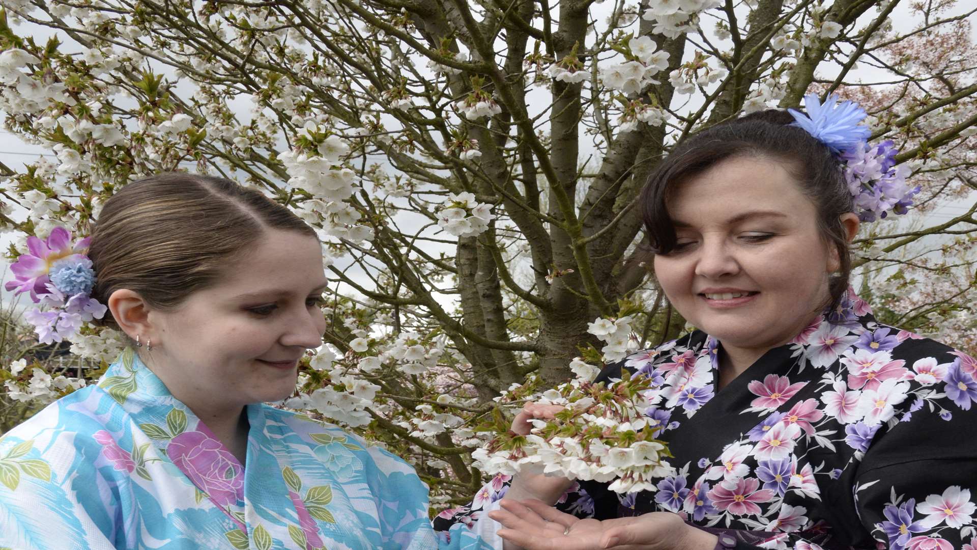 Emma Devaney and Anna Cormacey in the cherry orchard at last year's Hanami blossom festival