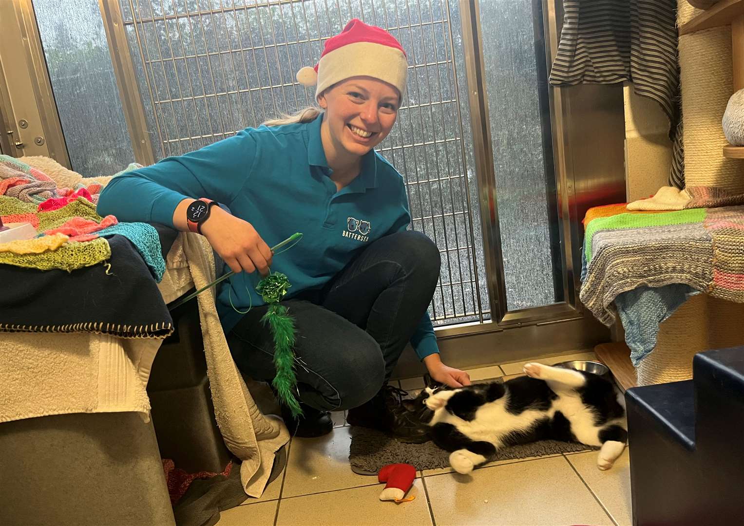 Cattery intake coordinator, Kathryn Davenport, helps Smudge get into the festive spirit