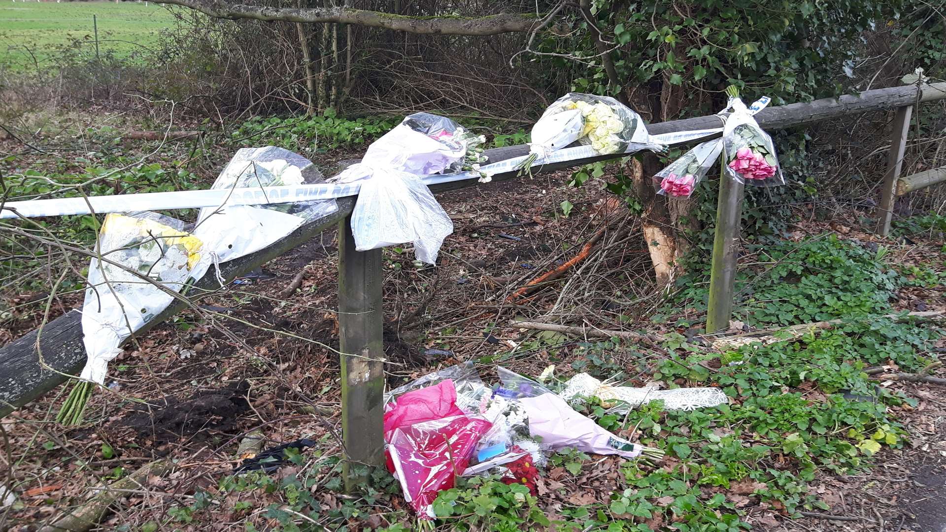 Flowers at the scene of the fatal crash