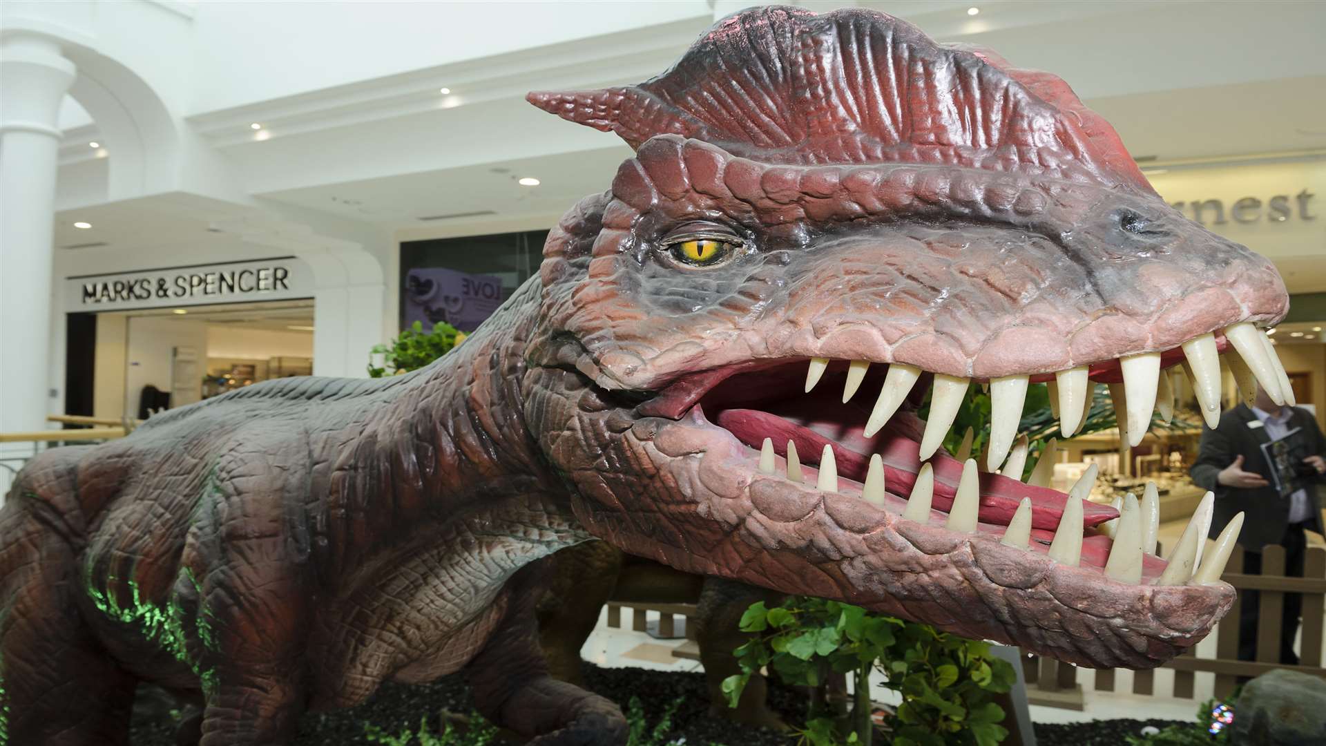 The Dilophosaurus at Royal Victoria Place in Tunbridge Wells