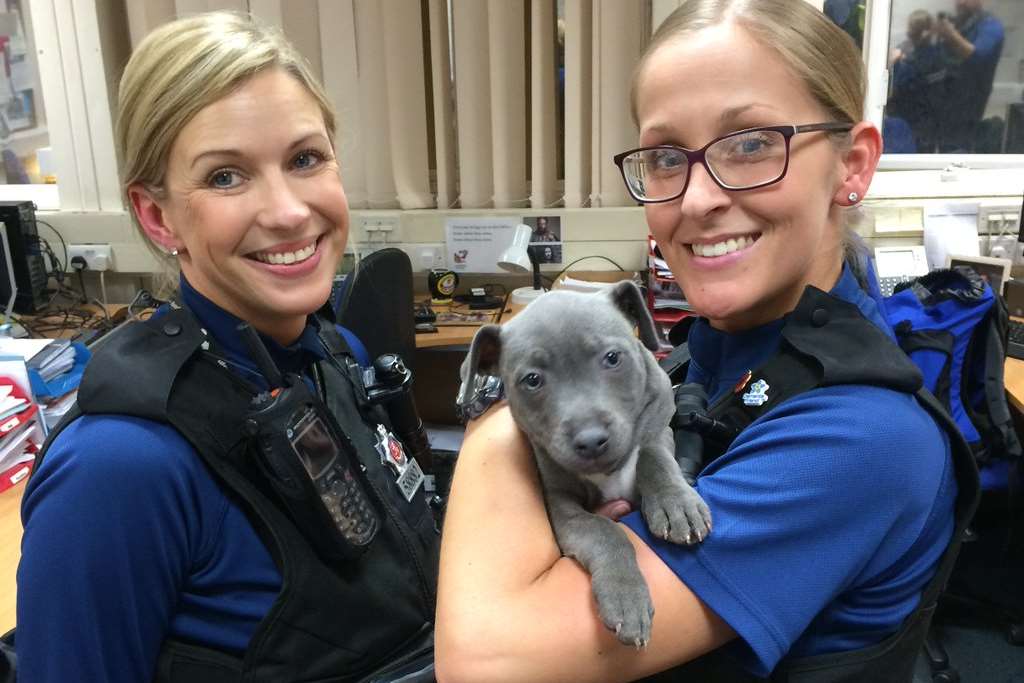 PCSO Sarah Leivers and PCSO Lauren Riddle with one of the recovered puppies. Picture: Kent Police
