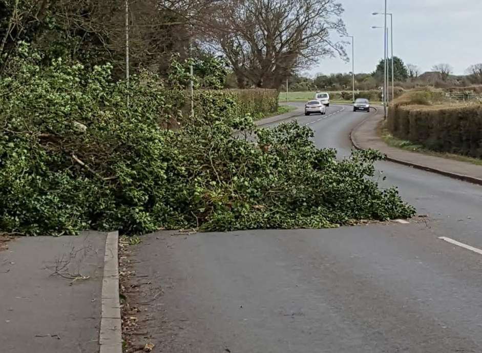 George Hill Road, Broadstairs, is part blocked by a tree