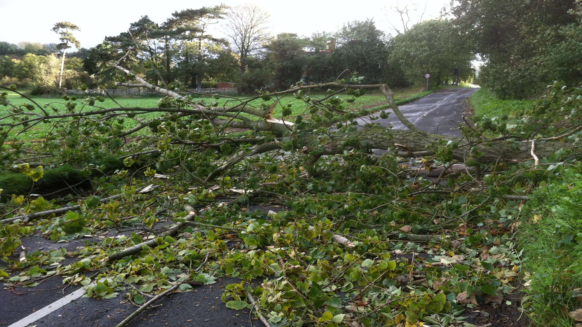 A road to Upnor village in Medway is blocked by trees
