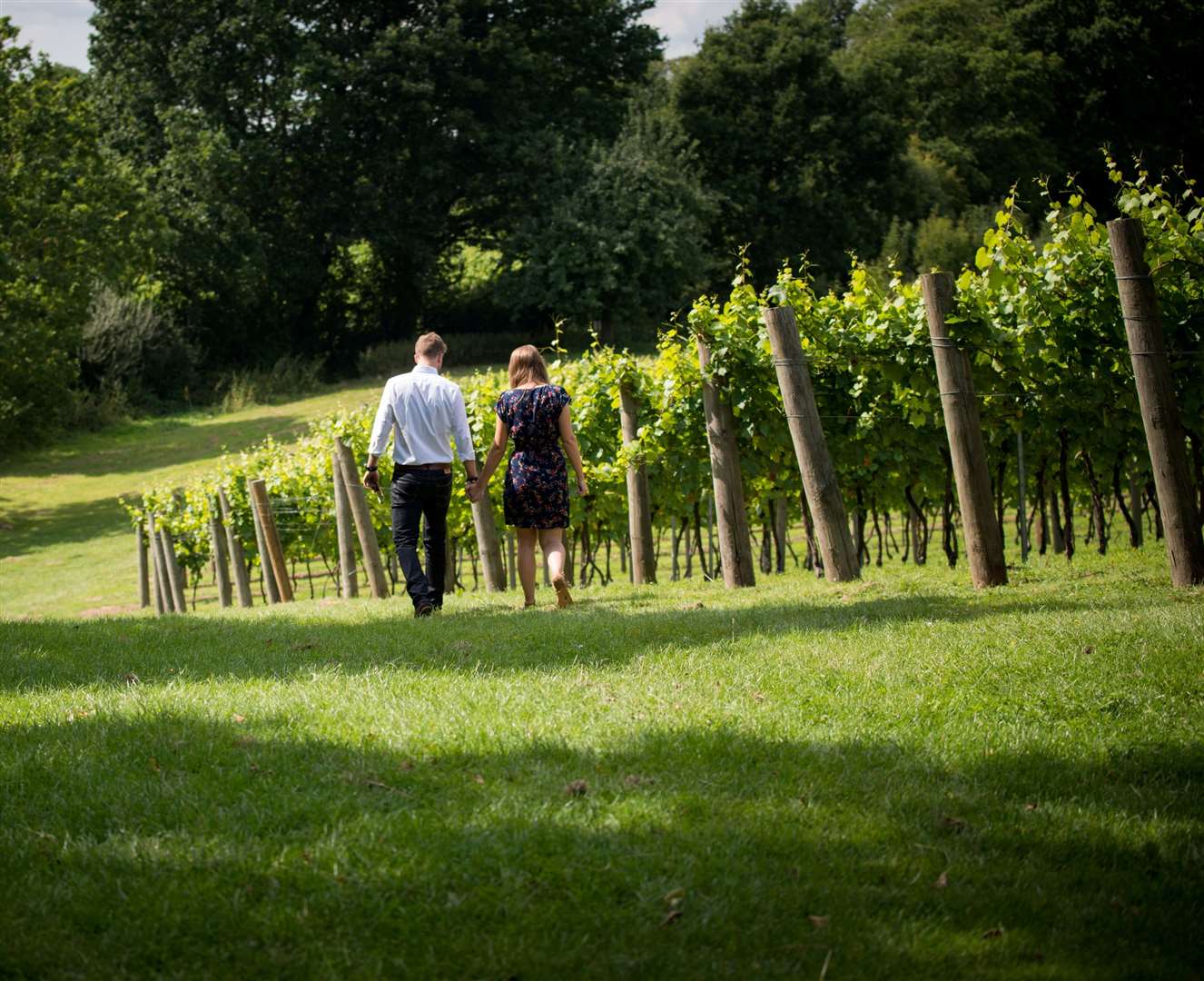 Chapel Down - which saw its first vines planted in 1977 - is now one of English wine's finest