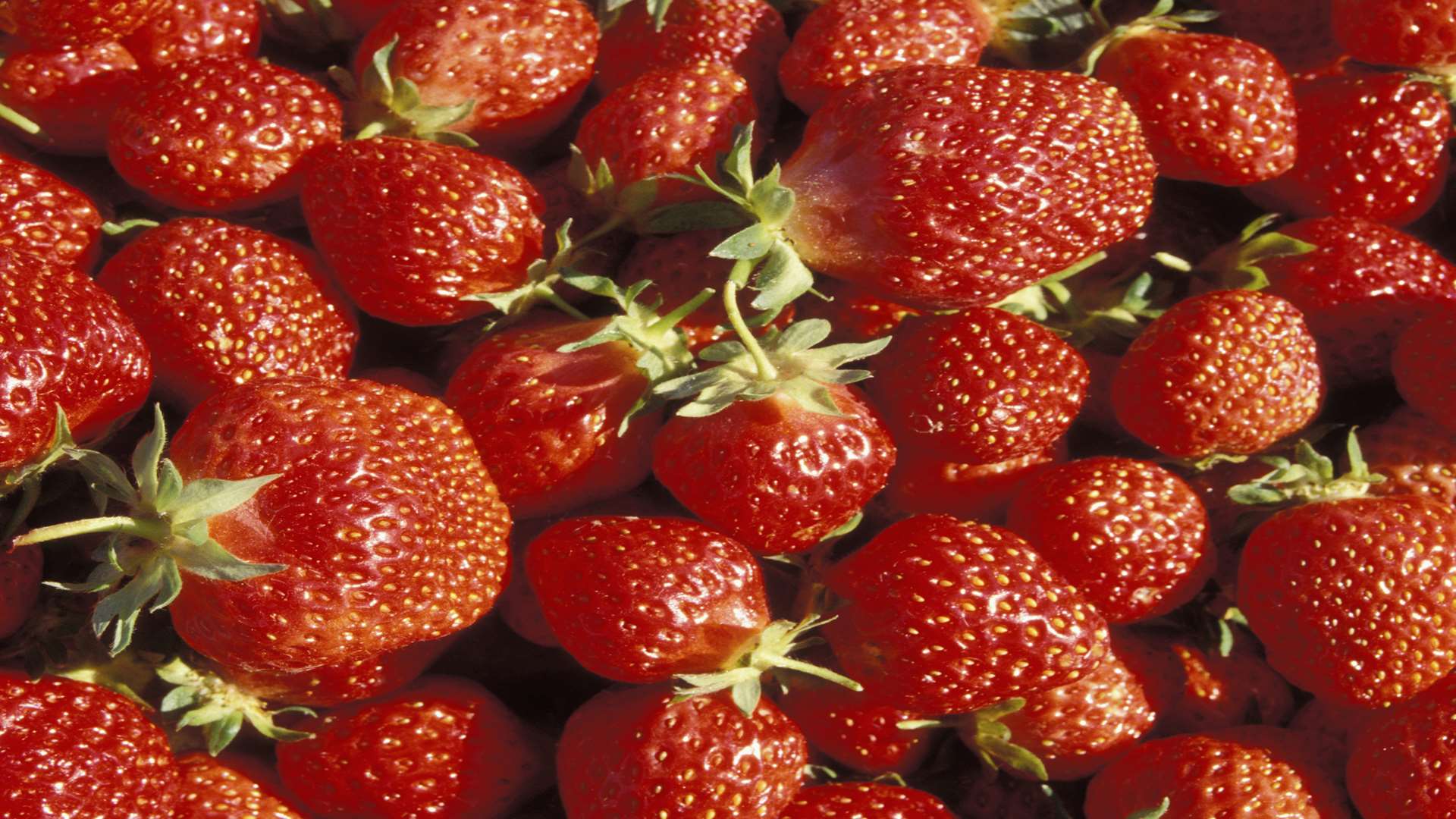 Thousands of pounds worth of strawberries and cherries were stolen.