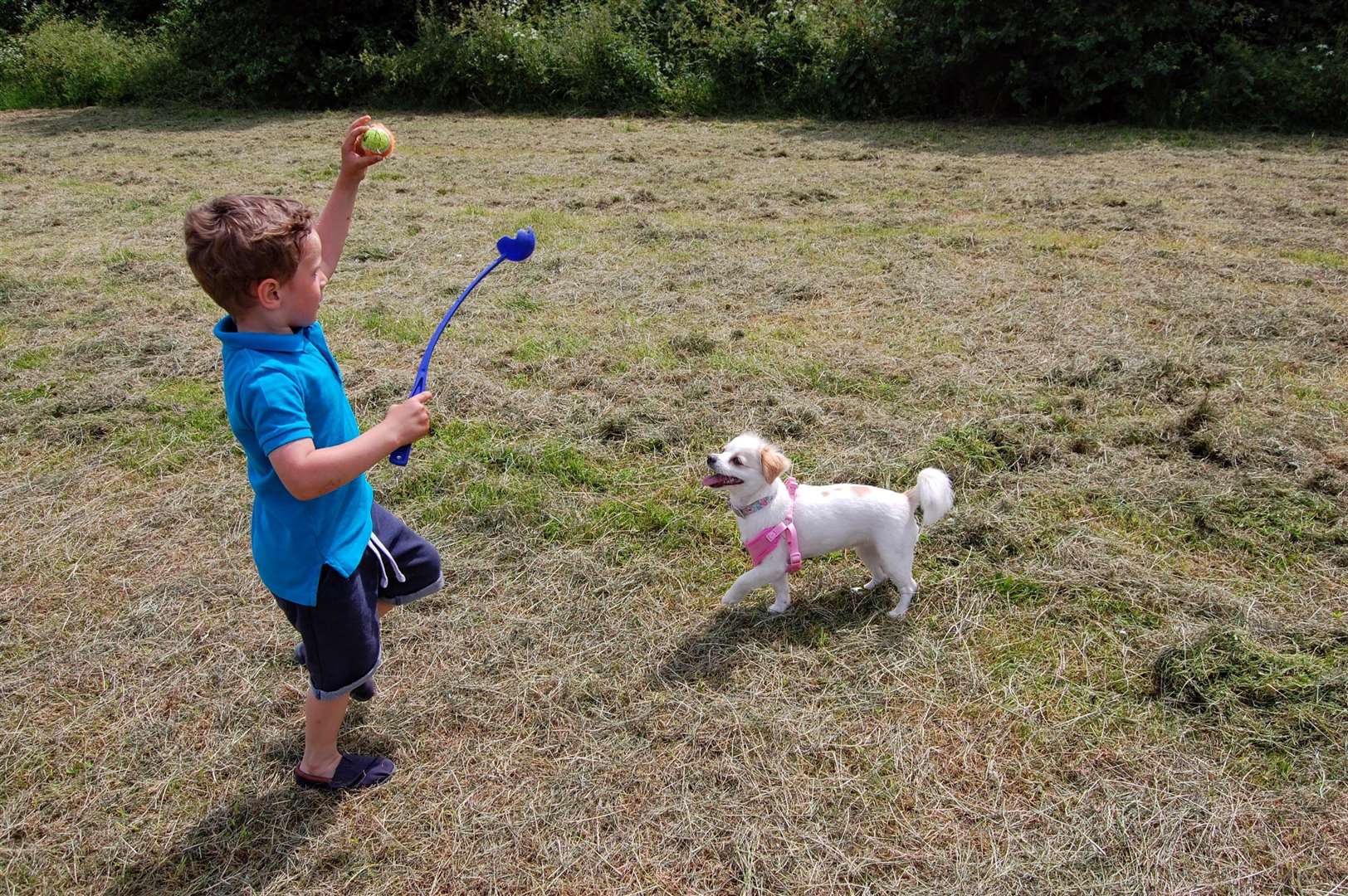 Reggie Nurthen, three, plays with Jess the dog.