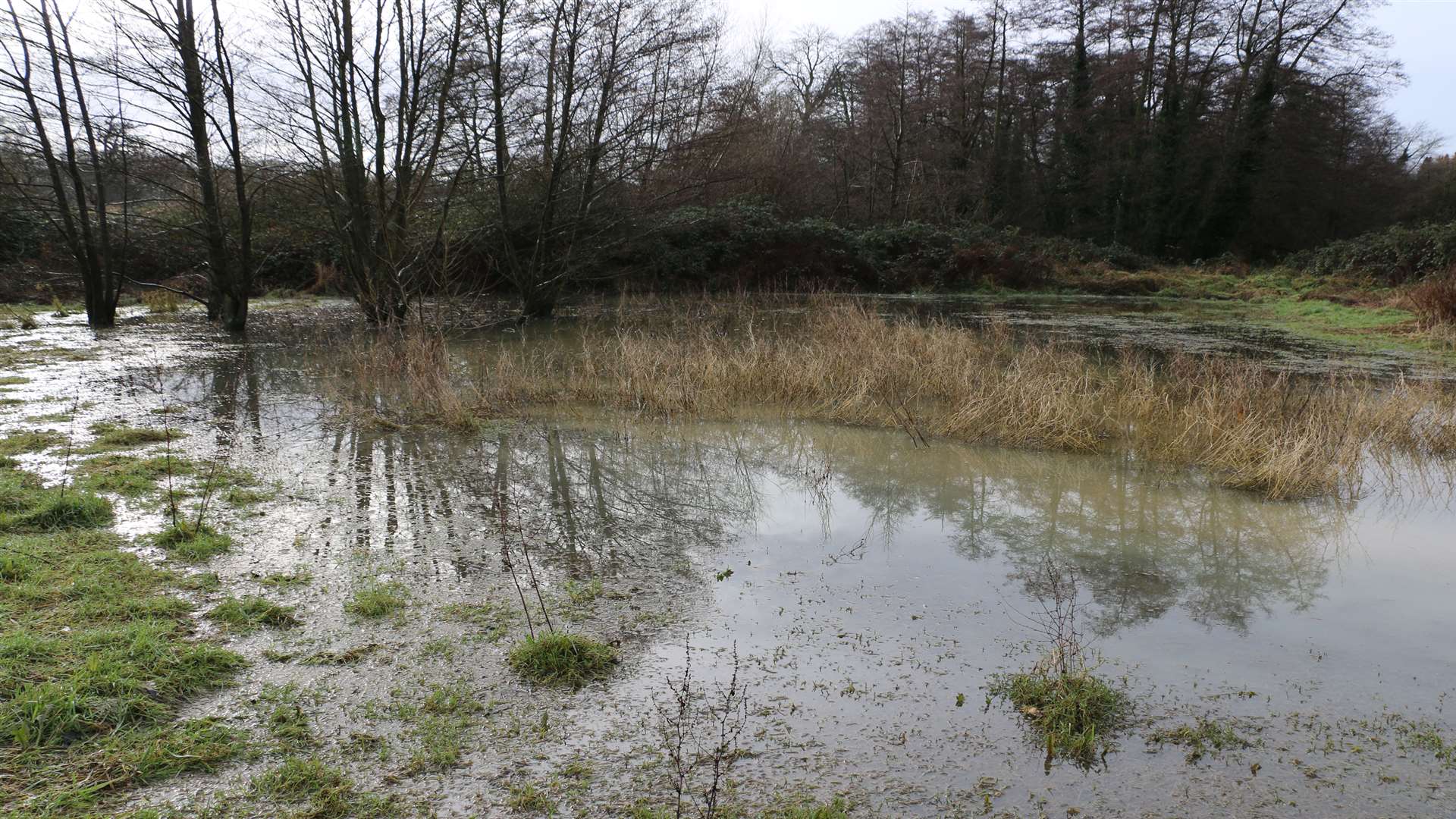 The Lilk Meadow - or "The Bogs" - in flood