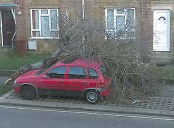 A tree fell onto a car in Darnley Road, Strood