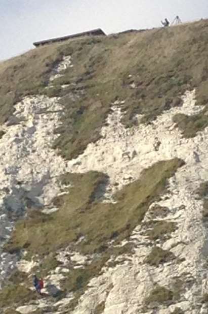 Coastguard officers rescuing the dog from the cliff above Samphire Hoe.
