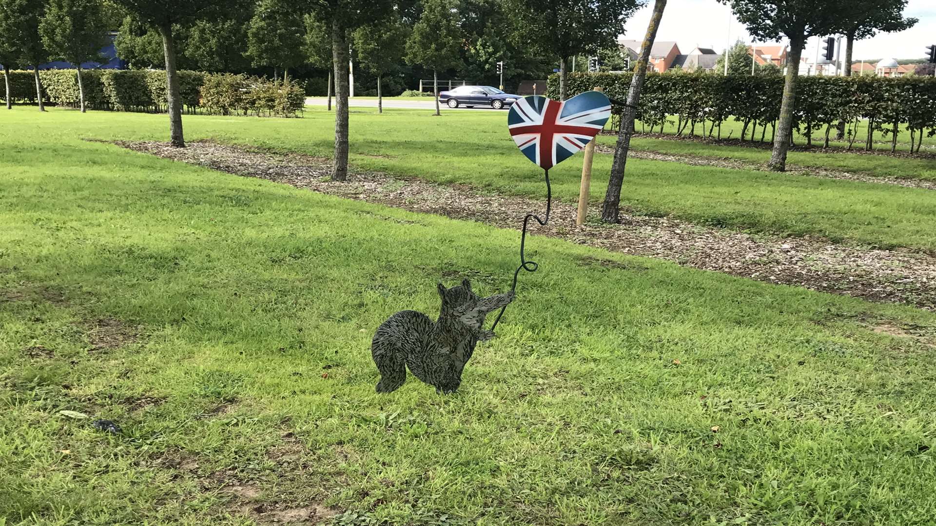 The squirrel is located on Drovers Roundabout