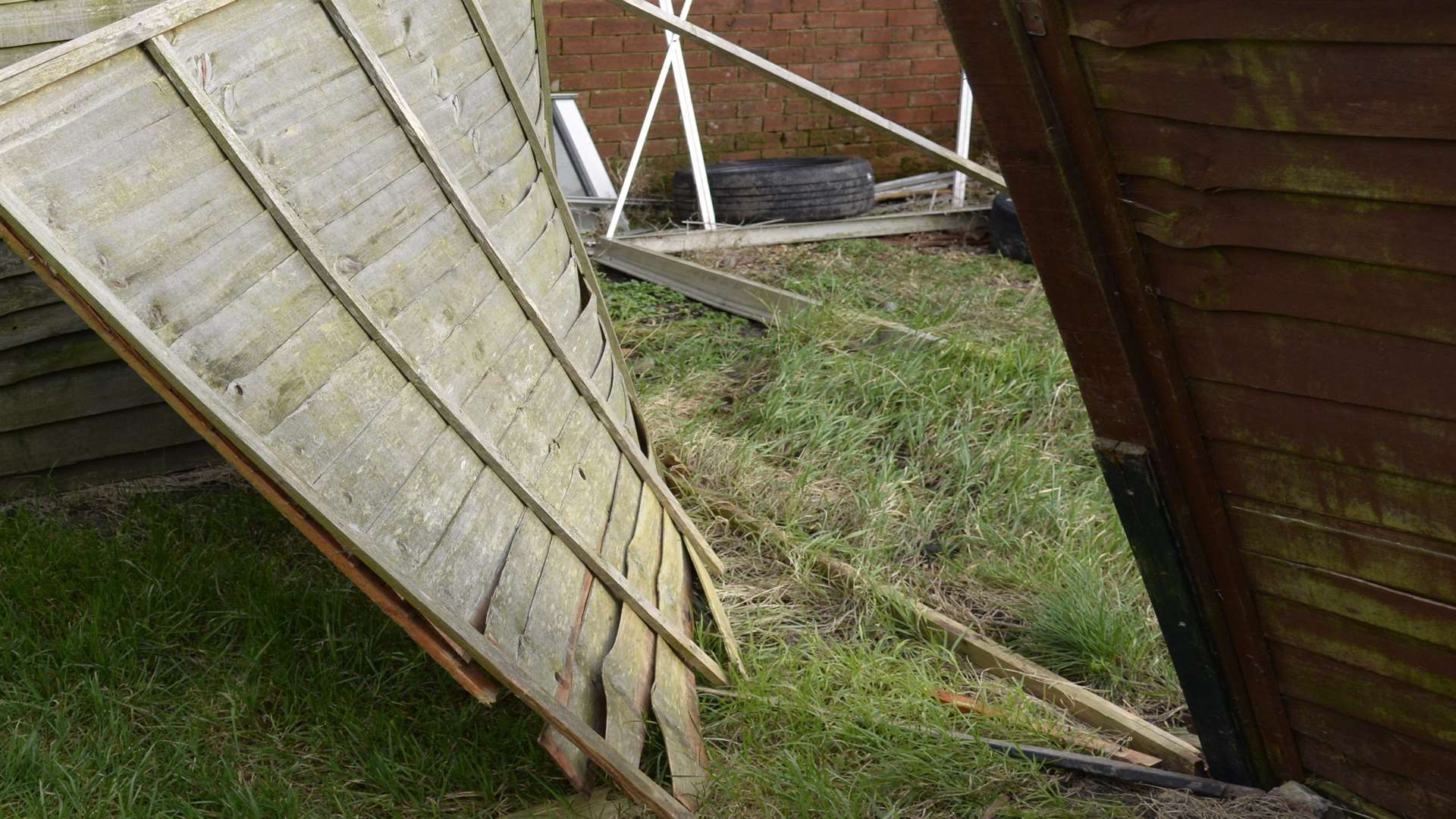 The gap in the fence which allows Mr Arnold's neighbour's dogs to roam his garden