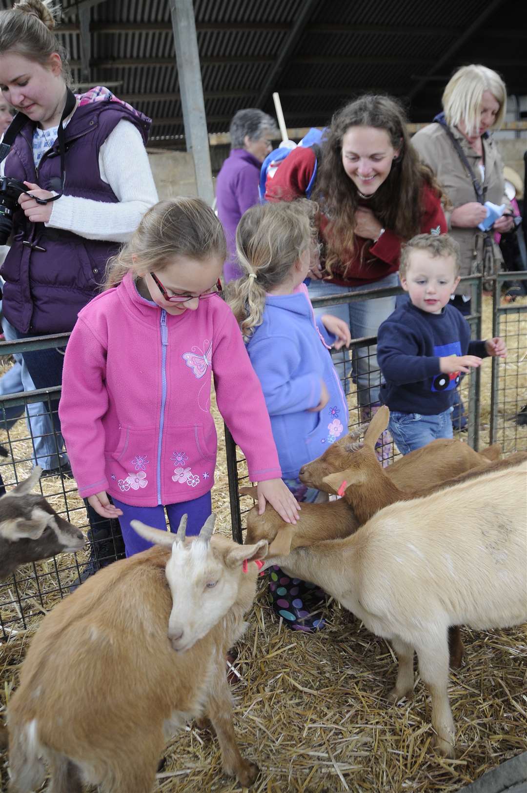 Families enjoying the animals at Monkshill Farm