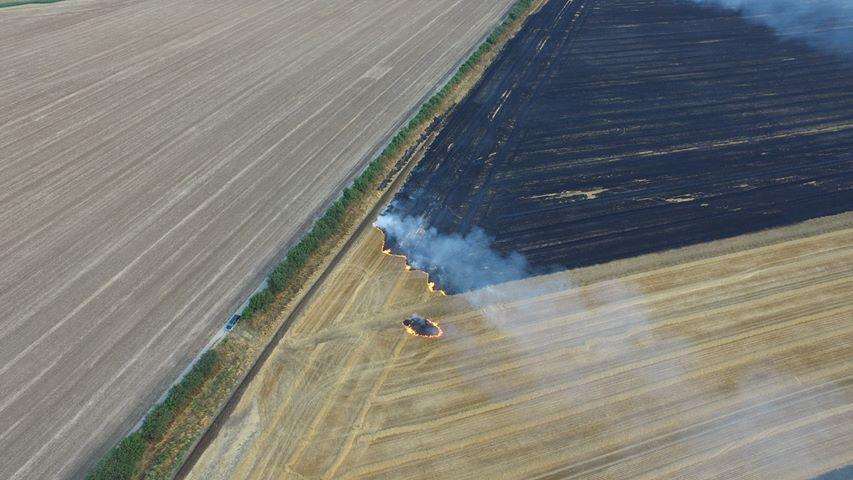 The field fire in Eastchurch, Sheppey. Picture: Alan Smisson