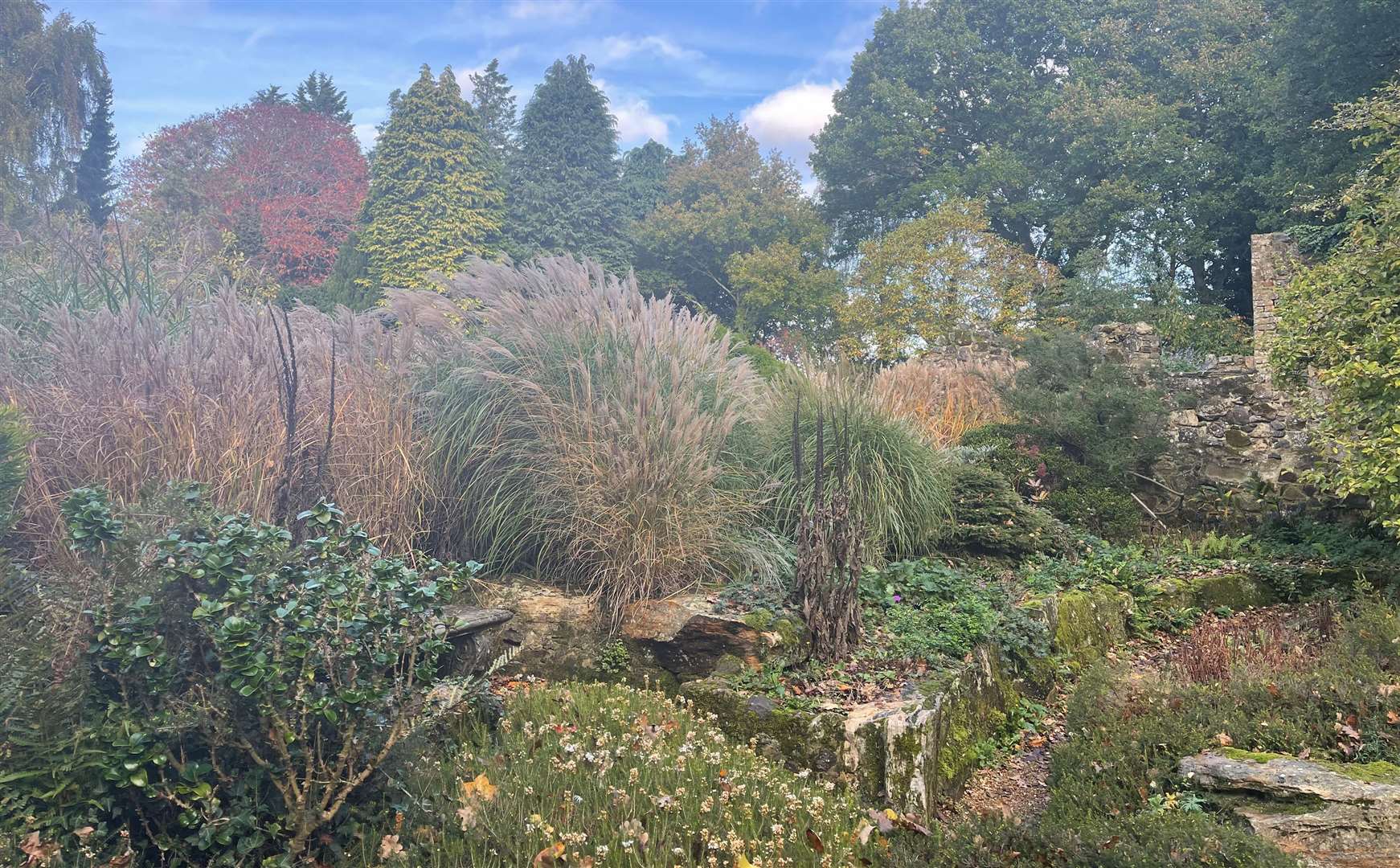 Great Comp boasts an Italian garden and woodland area within its seven acres. Picture: Vikki Rimmer