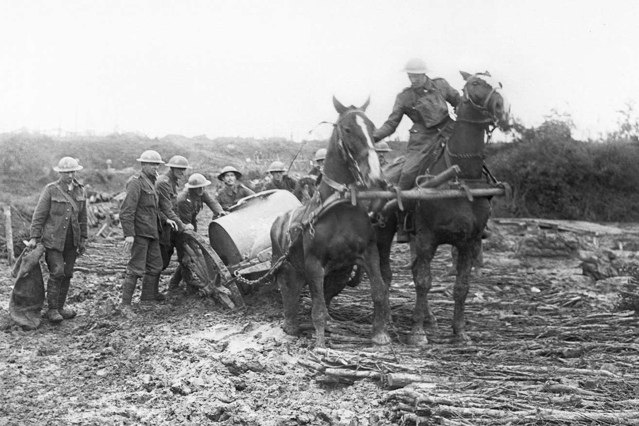 Struggling through the muddy battle fields of the First World War, brave horses pulled a water carrier cart for the troops to drink from. Picture: Imperial War Museum