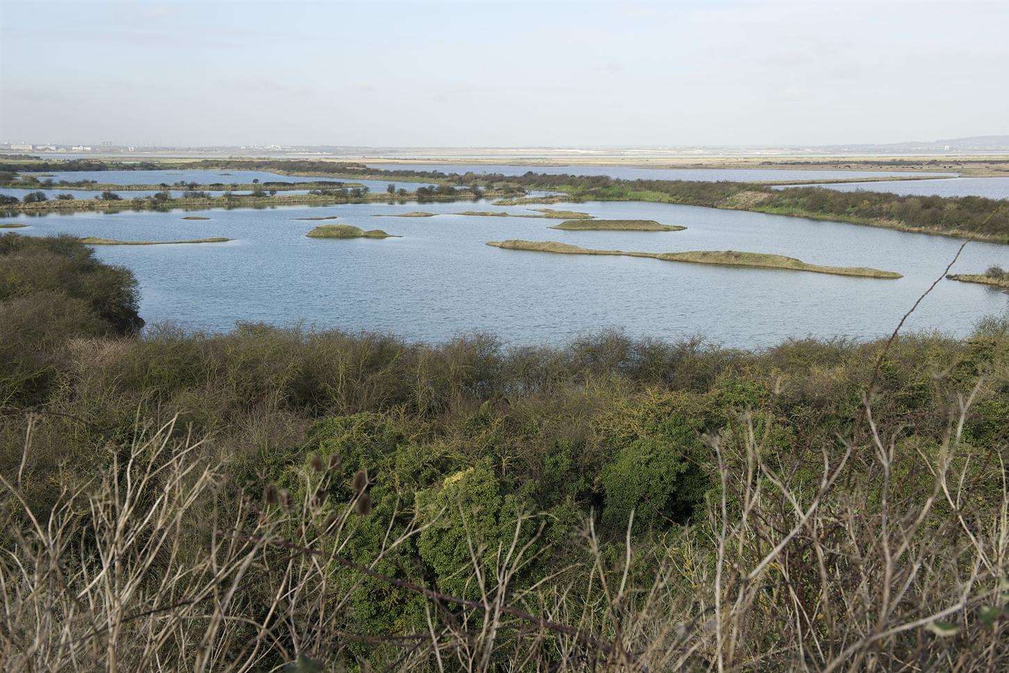 View from The Pinnacle over Cliffe Pools which is one of the sites that will be affected by the airport.