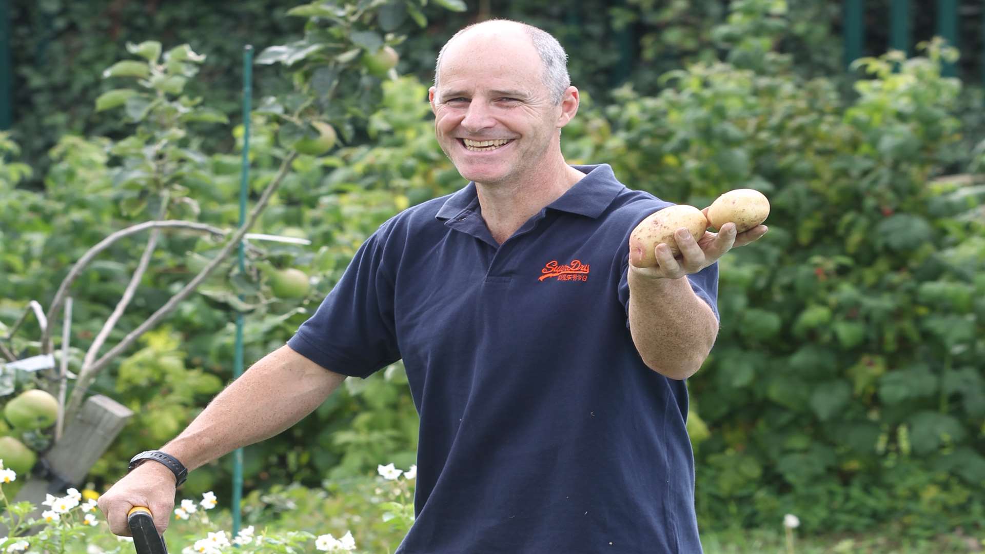 Ian Robson holds up Cara potatoes as a tenant of The Swanscombe and Greenhithe Allotments and Gardens Associations