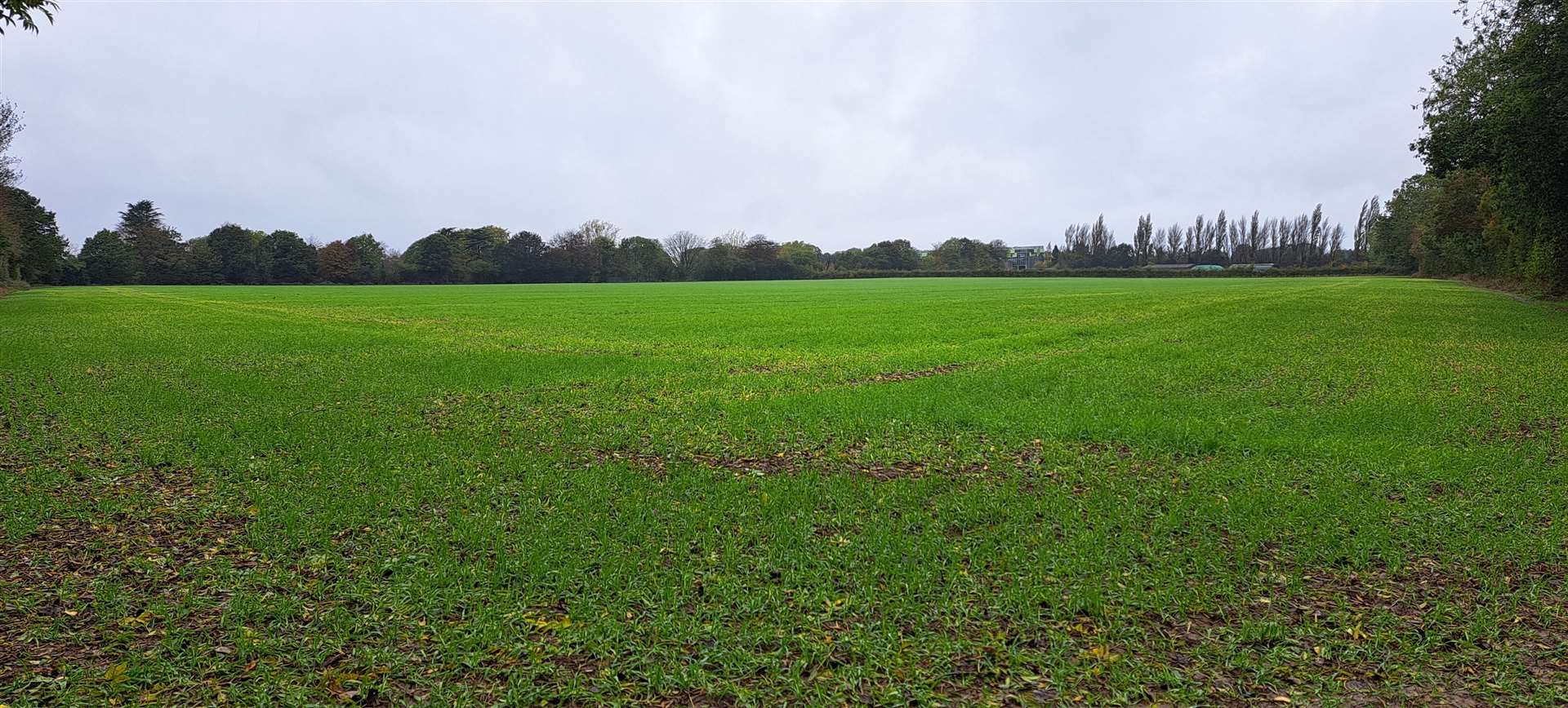 Part of the proposed development site off Pested Bars Road, Maidstone