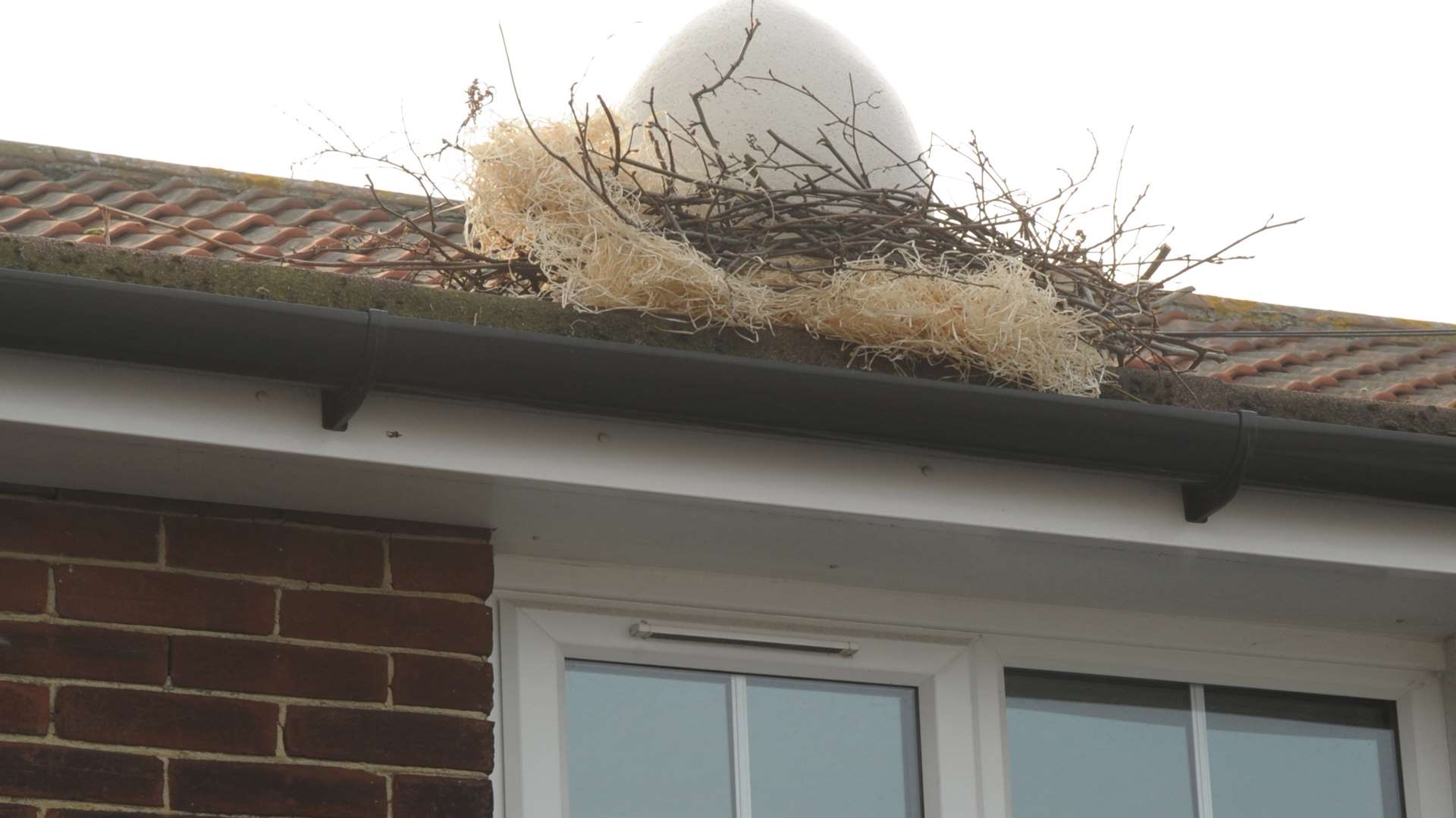 The egg on the roof at Queenborough Primary School