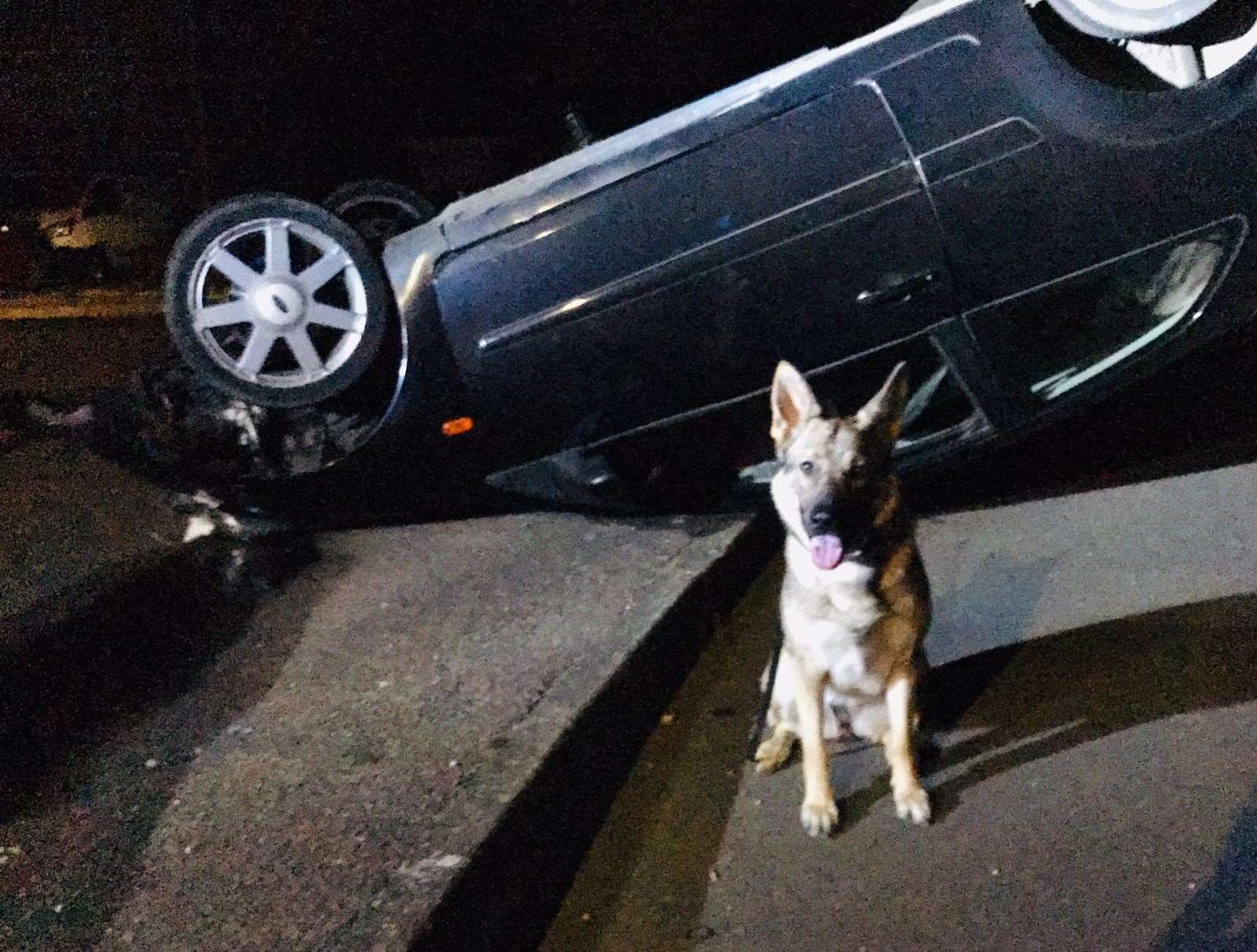 Police dog Wilma and the overturned car. Picture: Kent Police twitter