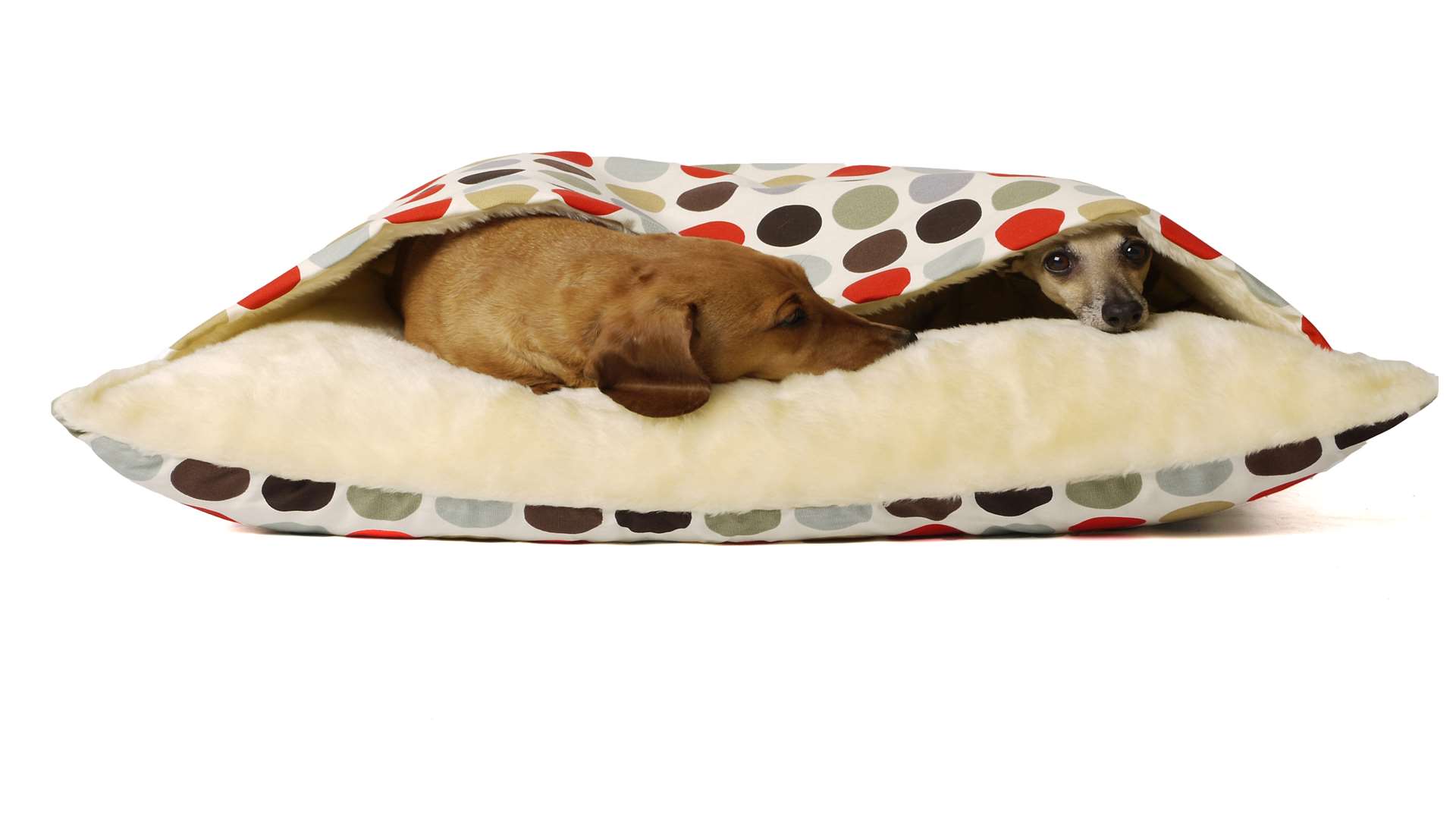 What dog wouldn't want to cuddle up in this dog bed?