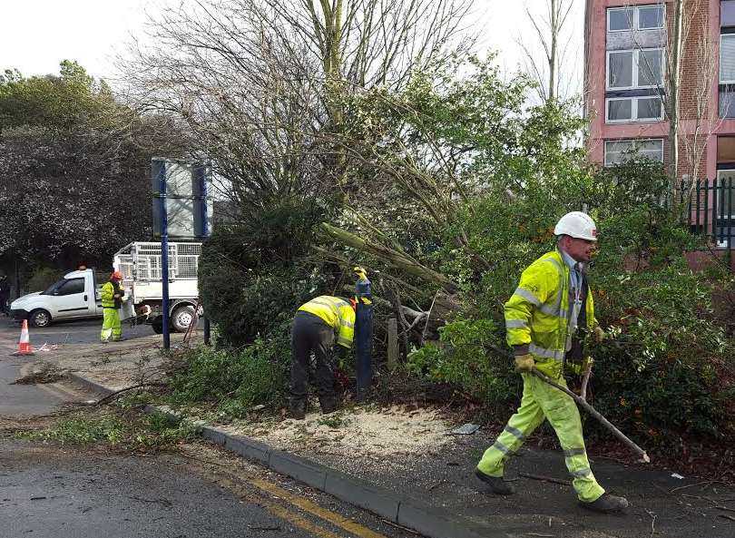 A tree, brought down by the wind in Gravesend, damaged a lamppost
