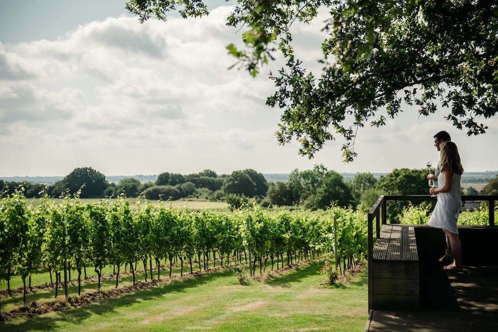 Gusbourne vineyard is producing top quality wines